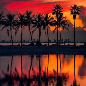 Meet your Posher, Jesse